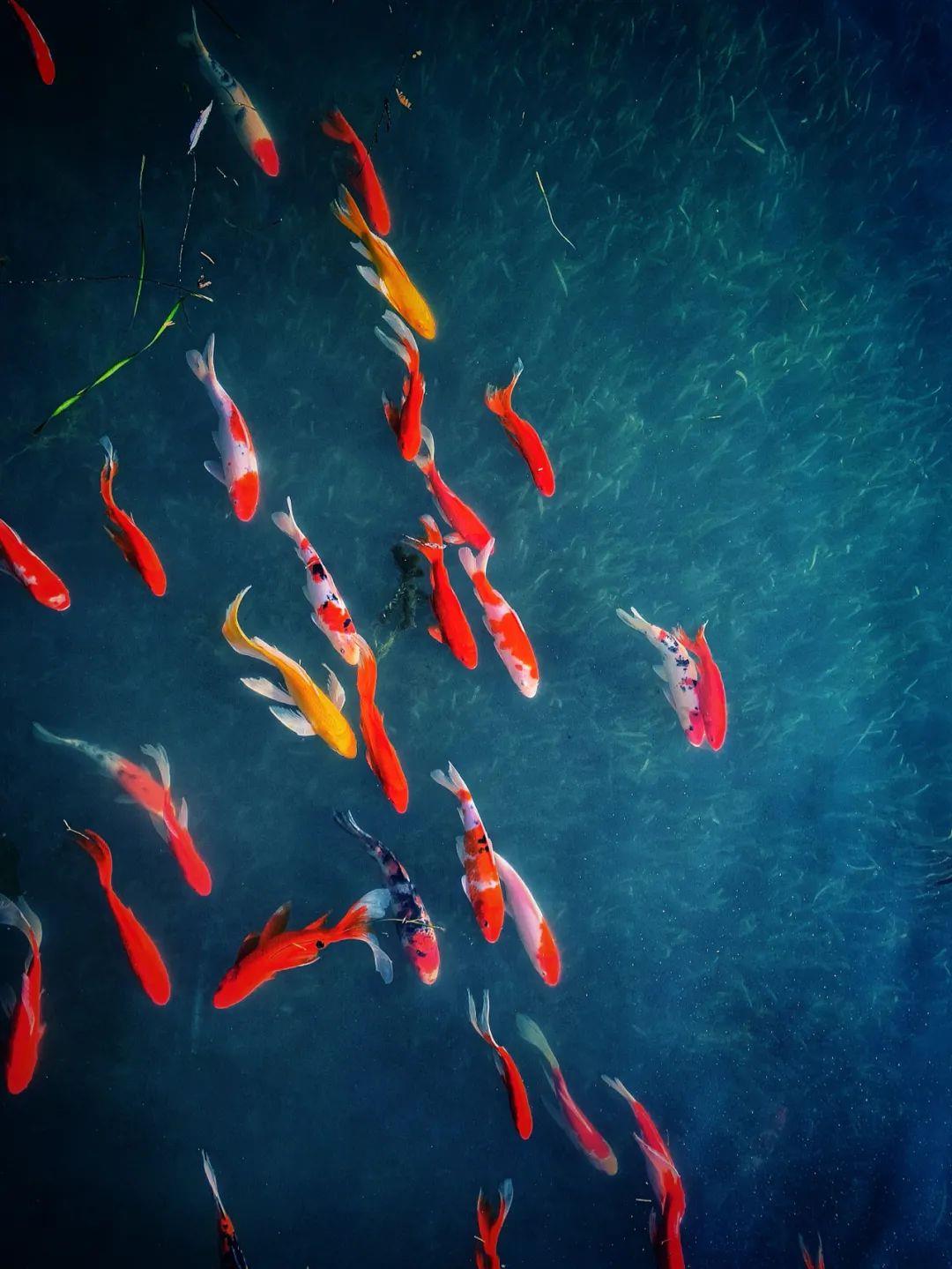 
北京儿童医院黄牛代挂号电话票贩子号贩子网上预约挂号,住院检查加快,感到压力大？同学 这5个“解压包”送给你→