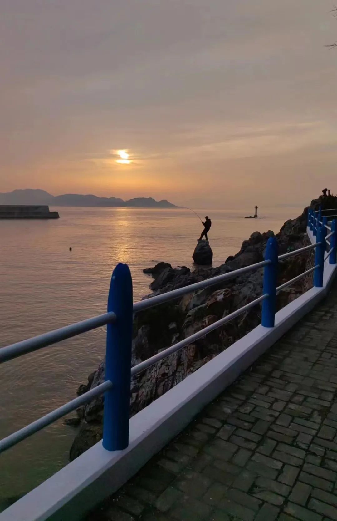 
南京市第一医院黄牛代挂号电话票贩子号贩子网上预约挂号,住院检查加快,道路如砥——“千万工程”二十年记（下）