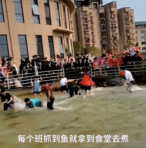 
北京儿童医院黄牛代挂号电话票贩子号贩子网上预约挂号,住院检查加快,感到压力大？同学 这5个“解压包”送给你→