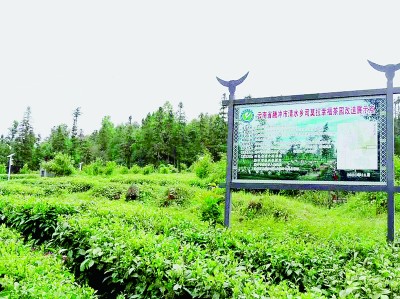 
中国中医科学院望京医院黄牛代挂号电话票贩子号贩子网上预约挂号,住院检查加快,边疆民族村寨的幸福密码