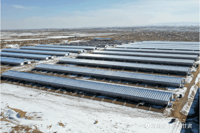 
南京脑科医院黄牛代挂号电话票贩子号贩子网上预约挂号,住院检查加快,“县”在出发——行走百县话振兴 | 荒原焕新！听，牛羊声打破这里的寂静