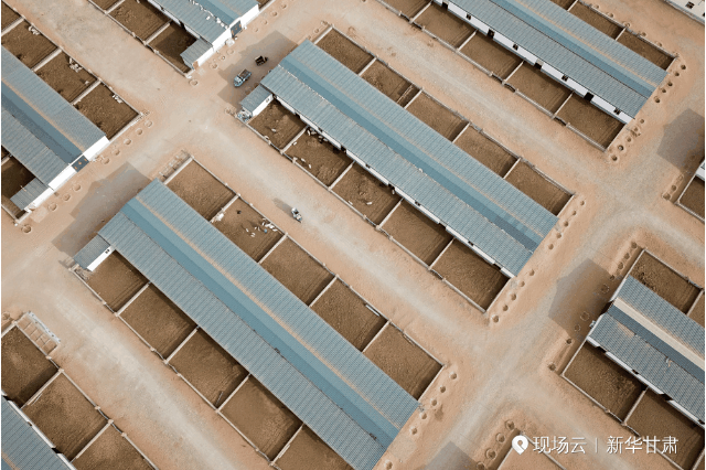 
南京脑科医院黄牛代挂号电话票贩子号贩子网上预约挂号,住院检查加快,“县”在出发——行走百县话振兴 | 荒原焕新！听，牛羊声打破这里的寂静