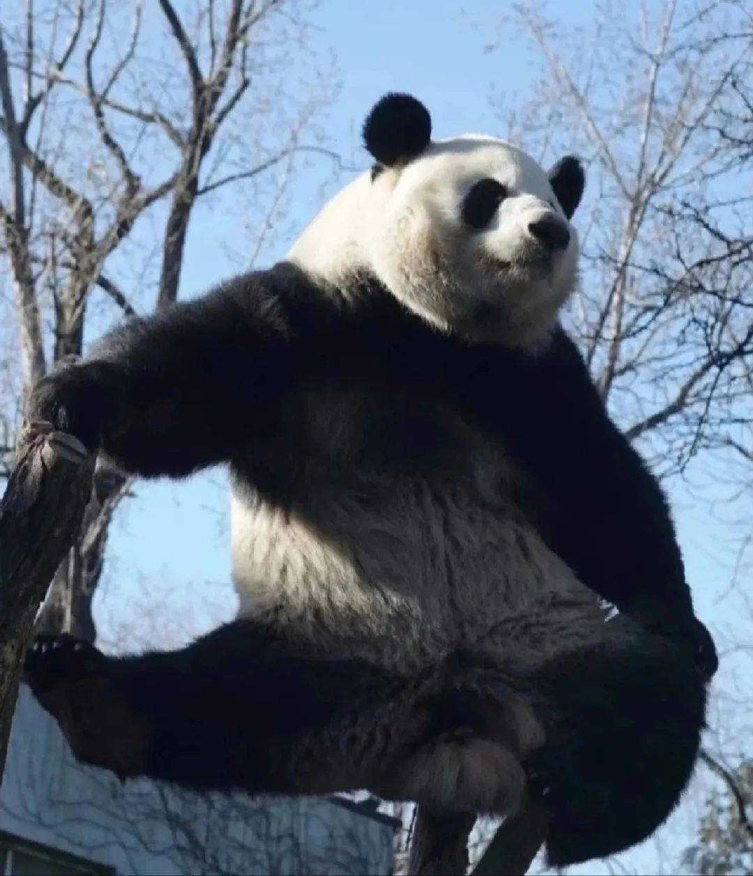 
北京儿童医院黄牛代挂号电话票贩子号贩子网上预约挂号,住院检查加快,感到压力大？同学 这5个“解压包”送给你→