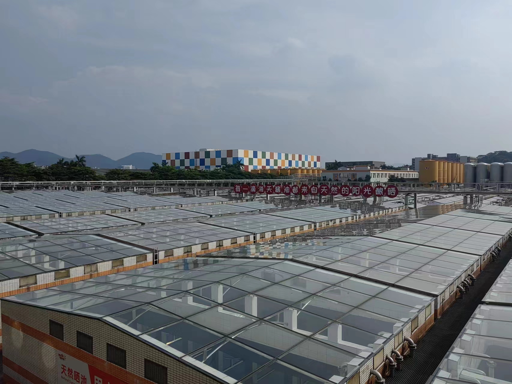 
北医六院黄牛代挂号电话票贩子号贩子网上预约挂号,住院检查加快,深度丨广东加速建设现代化产业体系，助推经济高质量发展继续走在前列、当好示范