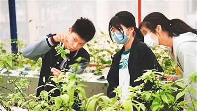
浙江口腔医院黄牛代挂号电话票贩子号贩子网上预约挂号,住院检查加快,“希望更多两地学生在交流中成为好朋友”