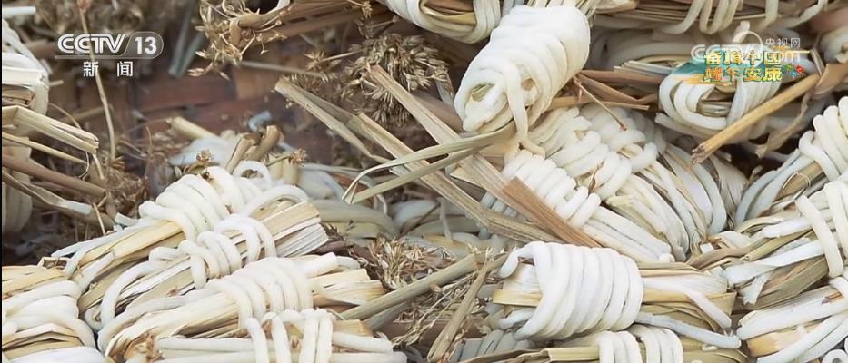 
天津肿瘤医院黄牛代挂号电话票贩子号贩子网上预约挂号,住院检查加快,一张粽叶包万物！700多年前的粽子长什么样？