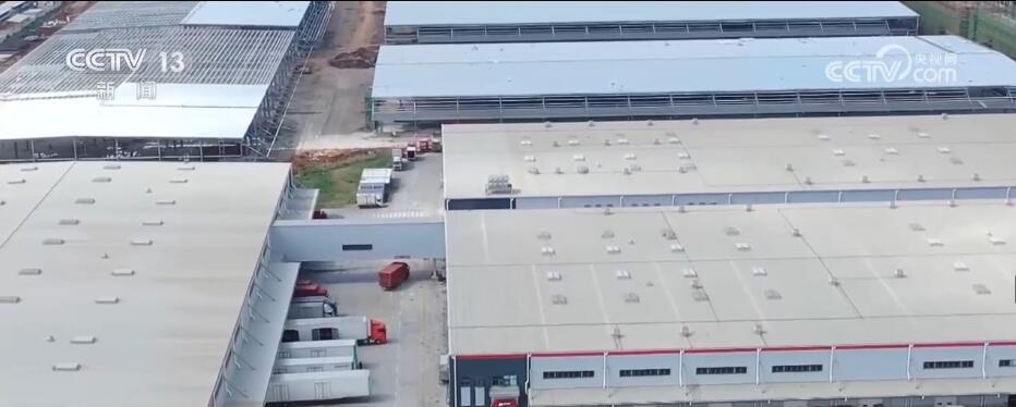 
上海儿童医学中心黄牛代挂号电话票贩子号贩子网上预约挂号,住院检查加快,月均增长达“百亿级” 六问快递业如何实现提速发展