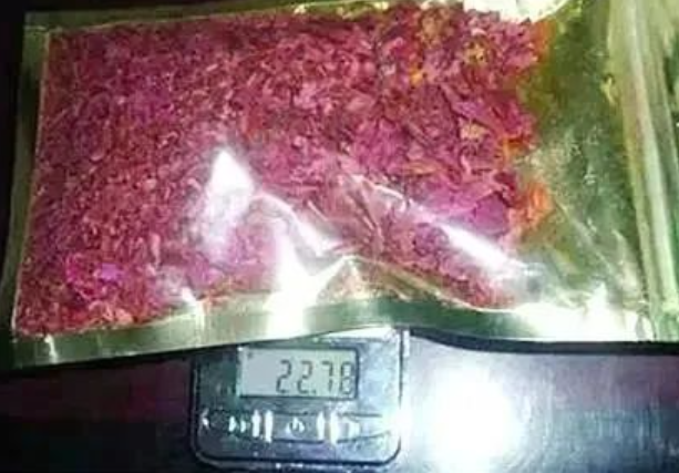 广东省中医院黄牛代挂号电话票贩子号贩子网上预约挂号,住院检查加快,今天是国际禁毒日 请查收这份禁毒知识→