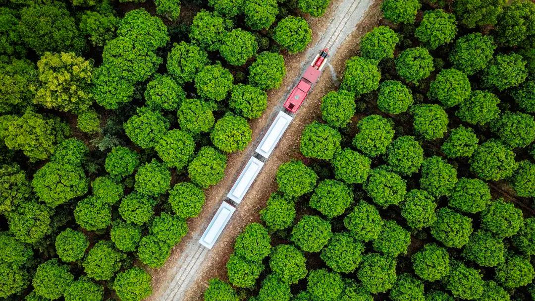 
广州中山三医院黄牛代挂号电话票贩子号贩子网上预约挂号,住院检查加快,时政微观察丨“千万工程”何以深得民心？