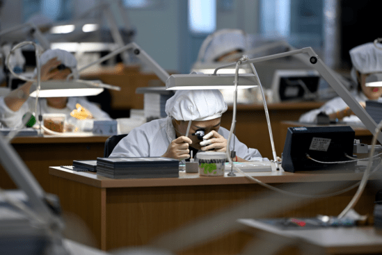 
北京301医院黄牛代挂号电话票贩子号贩子网上预约挂号,住院检查加快,为什么是天津？