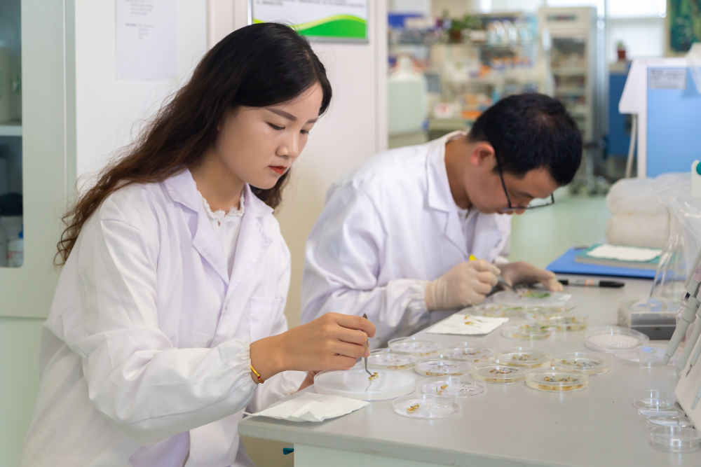 
北京安贞医院黄牛代挂号电话票贩子号贩子网上预约挂号,住院检查加快,科技“关键变量”撬动产业“最大增量”——三亚崖州湾科技城建设观察