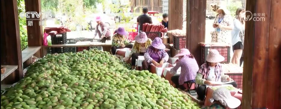 
上海儿童医学中心黄牛代挂号电话票贩子号贩子网上预约挂号,住院检查加快,月均增长达“百亿级” 六问快递业如何实现提速发展