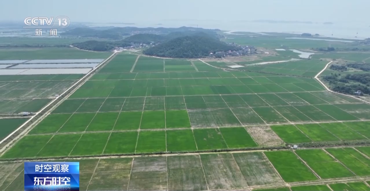 
沈阳各大医院黄牛代挂号电话票贩子号贩子网上预约挂号,住院检查加快,18亿亩耕地红线如何严守？3个问题带你了解→