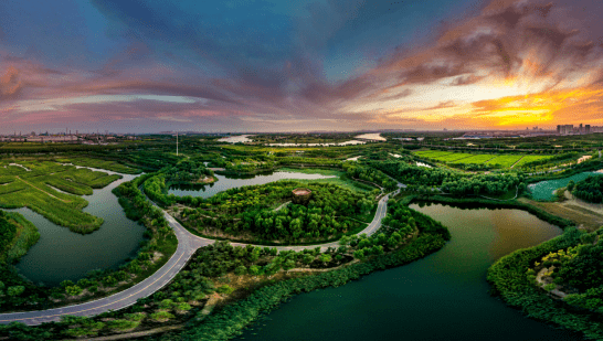 
北京301医院黄牛代挂号电话票贩子号贩子网上预约挂号,住院检查加快,为什么是天津？