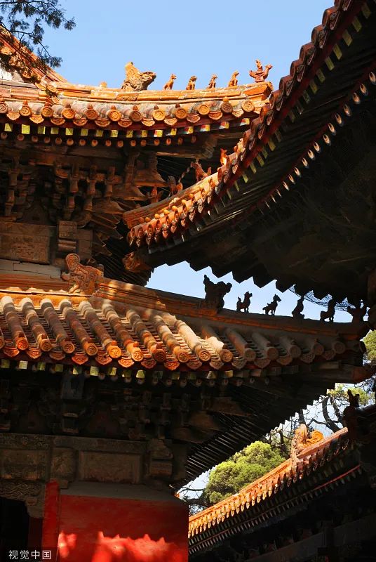 
南京市第一医院黄牛代挂号电话票贩子号贩子网上预约挂号,住院检查加快,这就是，曲阜！