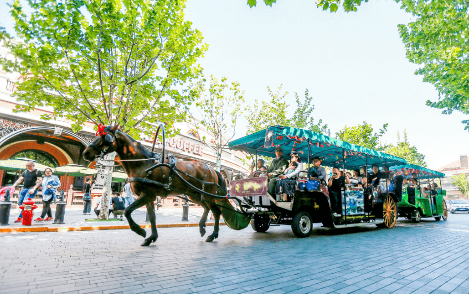 
北京301医院黄牛代挂号电话票贩子号贩子网上预约挂号,住院检查加快,为什么是天津？