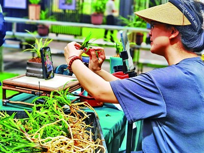 
北京广安门中医院黄牛代挂号电话票贩子号贩子网上预约挂号,住院检查加快,之江大地上的“三变三美”