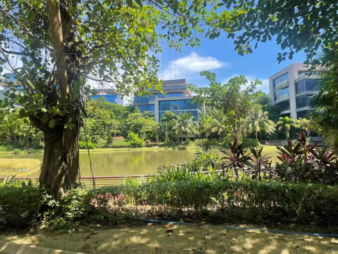 
山东大学齐鲁医院黄牛代挂号电话票贩子号贩子网上预约挂号,住院检查加快,这很“海南”！公园里的工位太酷啦 | 高质量发展调研行・海南站