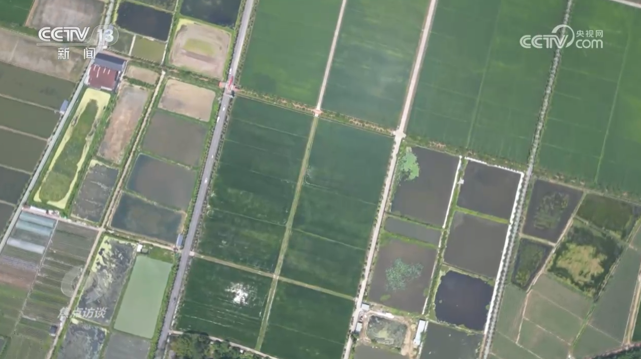 
东部战区总医院黄牛代挂号电话票贩子号贩子网上预约挂号,住院检查加快,焦点访谈：“千万工程”让万千乡村蝶变