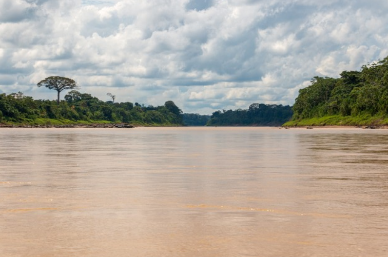 
江苏省人民医院黄牛代挂号电话票贩子号贩子网上预约挂号,住院检查加快,国际科考队再量亚马孙河长度，挑战尼罗河“世界最长河流”地位