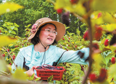 
江苏省肿瘤医院黄牛代挂号电话票贩子号贩子网上预约挂号,住院检查加快,激发度假旅游消费更大潜力（消费视窗）