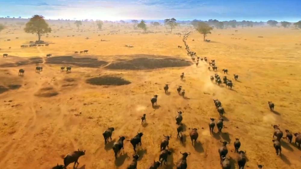 
杭州市一医院黄牛代挂号电话票贩子号贩子网上预约挂号,住院检查加快,跨越山海来“湘”会