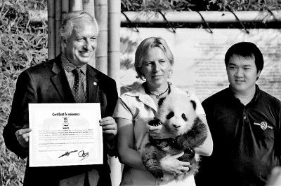 
首都医科大学附宣武医院黄牛代挂号电话票贩子号贩子网上预约挂号,住院检查加快,一个比利时人如何实现他的“中国梦”