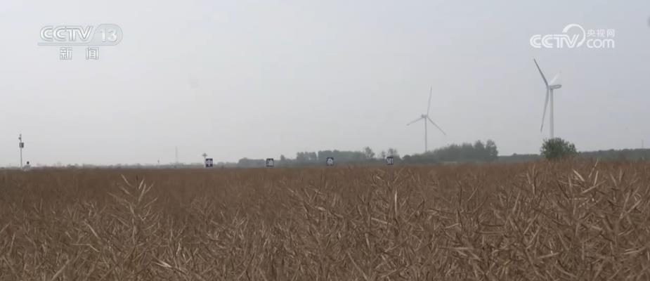 
长沙各大医院黄牛代挂号电话票贩子号贩子网上预约挂号,住院检查加快,技术突破！82.7%，我国盐碱地油菜创高产新纪录