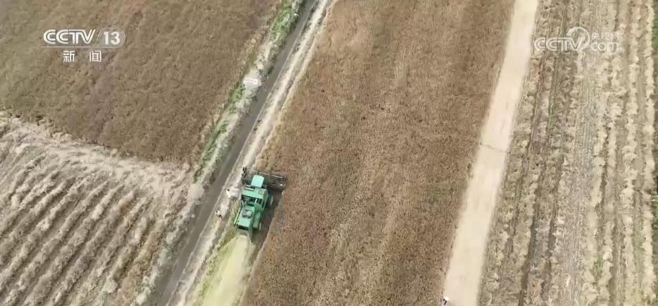 
长沙各大医院黄牛代挂号电话票贩子号贩子网上预约挂号,住院检查加快,技术突破！82.7%，我国盐碱地油菜创高产新纪录