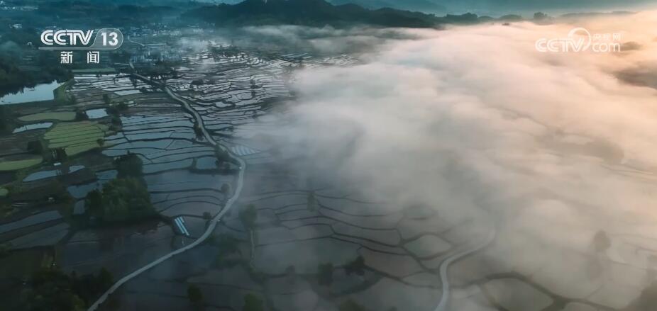 
江苏省中医院黄煌的号黄牛代挂号电话票贩子号贩子网上预约挂号,住院检查加快,绿水青山环水田 夏种插秧正当时