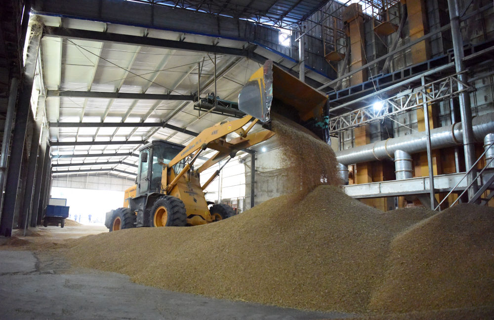 
湖南中医附一医院黄牛代挂号电话票贩子号贩子网上预约挂号,住院检查加快,夏粮收获一线观察