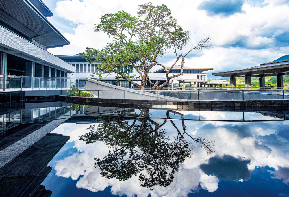 
杭州中医院黄牛代挂号电话票贩子号贩子网上预约挂号,住院检查加快,新华全媒+丨时隔10个月，再看国家版本馆