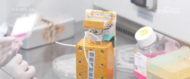 
长春吉大一院黄牛代挂号电话票贩子号贩子网上预约挂号,住院检查加快,中国空间站多项太空实验有序展开 首次实现人类干细胞太空早期造血