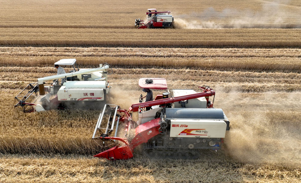 
湖南中医附一医院黄牛代挂号电话票贩子号贩子网上预约挂号,住院检查加快,夏粮收获一线观察