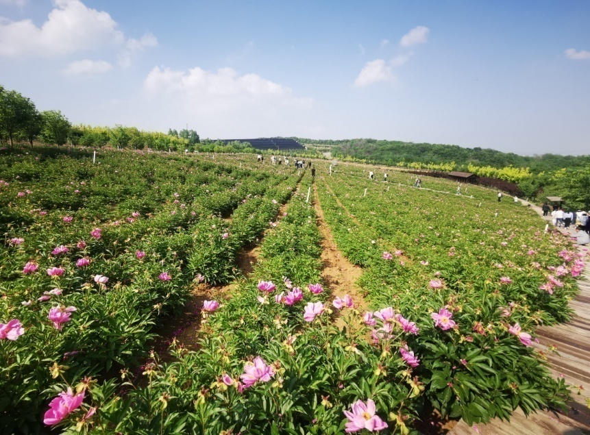 
浙江口腔医院黄牛代挂号电话票贩子号贩子网上预约挂号,住院检查加快,打卡中国·读懂中国式现代化 | 辽宁大连：海湾名城 振兴潮涌