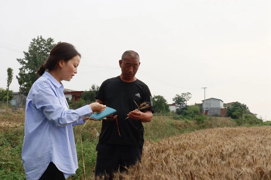 
杭州各大医院黄牛代挂号电话票贩子号贩子网上预约挂号,住院检查加快,河南：与天争时 全力抢收夏粮
