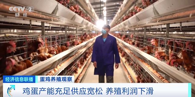 
首都医科大学附属北京朝阳医院黄牛代挂号电话票贩子号贩子网上预约挂号,住院检查加快,鸡蛋便宜了！未来价格怎么走？