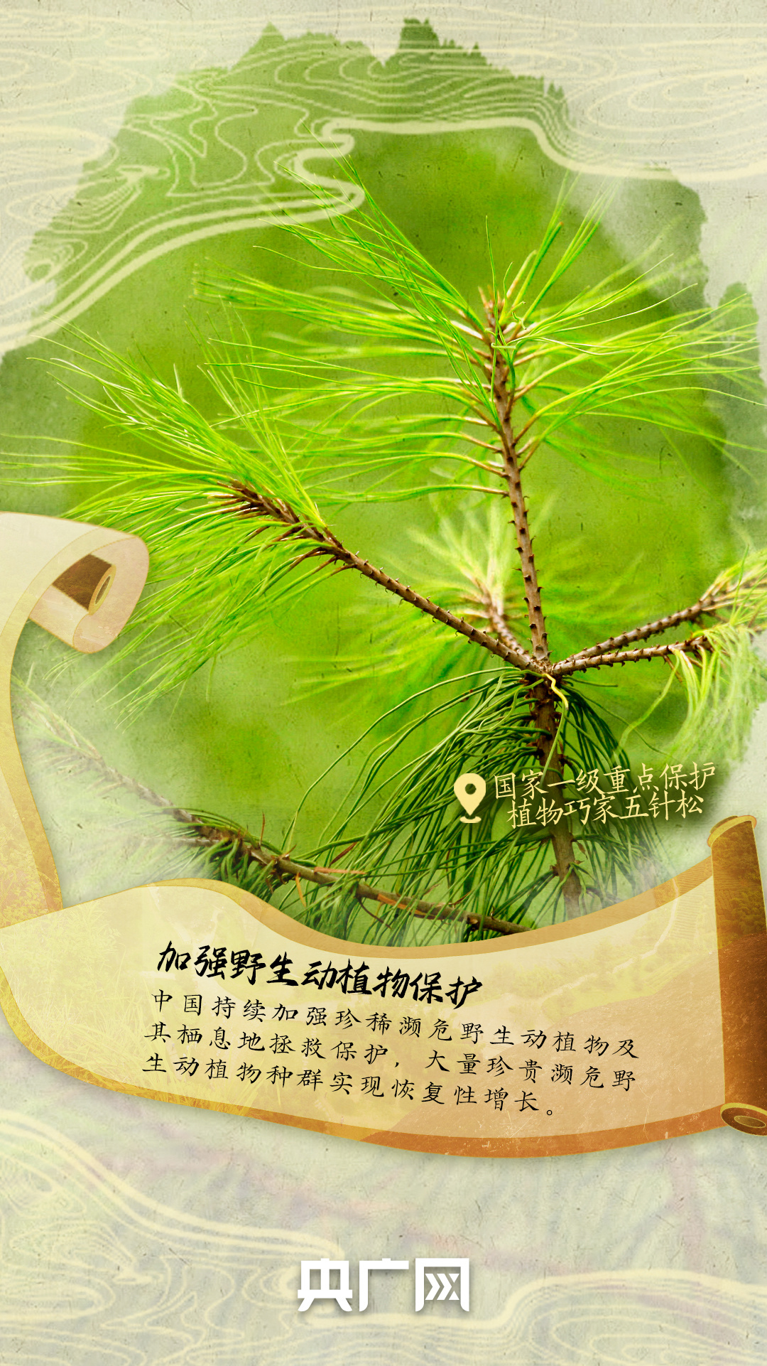 
北京大学第六医院黄牛代挂号电话票贩子号贩子网上预约挂号,住院检查加快,世界环境日｜共赴青绿 现实版“千里江山图”来了！