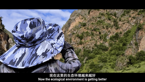 
江苏省中医院黄牛代挂号电话票贩子号贩子网上预约挂号,住院检查加快,三江之源的生态变迁