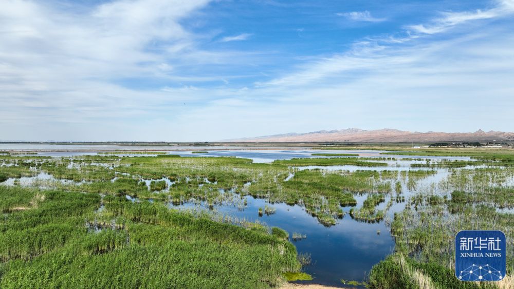 
北京积水潭医院黄牛代挂号电话票贩子号贩子网上预约挂号,住院检查加快,夏日乌梁素海