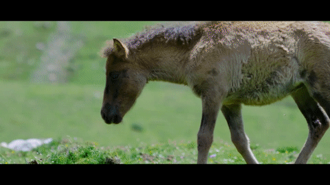 
江苏省中医院黄牛代挂号电话票贩子号贩子网上预约挂号,住院检查加快,三江之源的生态变迁