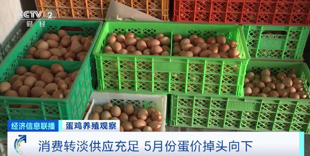 
首都医科大学附属北京朝阳医院黄牛代挂号电话票贩子号贩子网上预约挂号,住院检查加快,鸡蛋便宜了！未来价格怎么走？