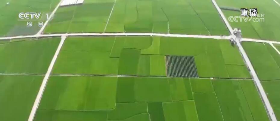 
北京301医院黄牛代挂号电话票贩子号贩子网上预约挂号,住院检查加快,又是一年好“丰”景 从数据和地图中感受收获的喜悦