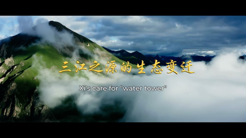 
江苏省中医院黄牛代挂号电话票贩子号贩子网上预约挂号,住院检查加快,三江之源的生态变迁