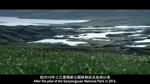 
江苏省中医院黄牛代挂号电话票贩子号贩子网上预约挂号,住院检查加快,三江之源的生态变迁