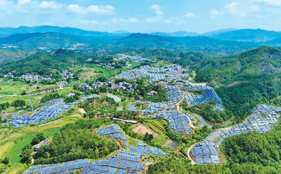 
长春吉大一院黄牛代挂号电话票贩子号贩子网上预约挂号,住院检查加快,以储能创新推进能源变革（科技名家笔谈）