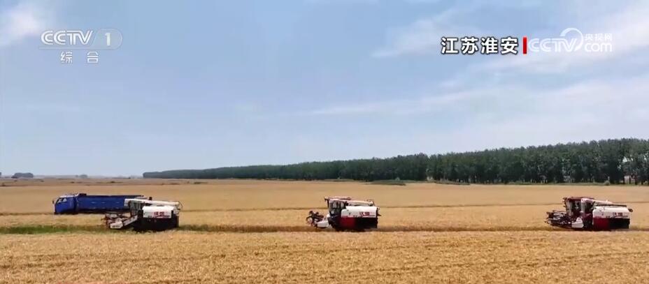 
北京朝阳医院黄牛代挂号电话票贩子号贩子网上预约挂号,住院检查加快,空中俯瞰稻田色彩斑斓 见证壮美好“丰”景