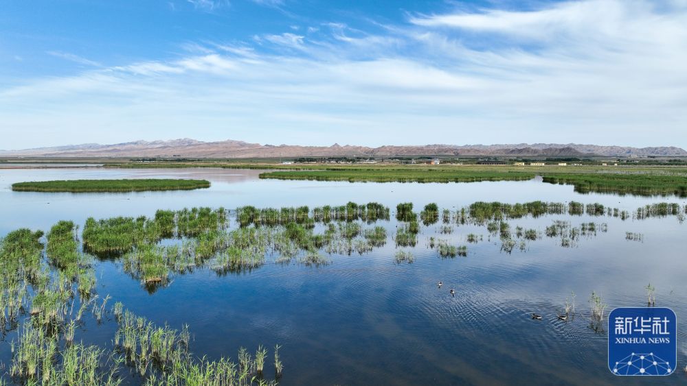 
北京积水潭医院黄牛代挂号电话票贩子号贩子网上预约挂号,住院检查加快,夏日乌梁素海