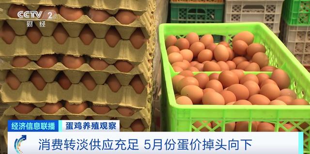 
首都医科大学附属北京朝阳医院黄牛代挂号电话票贩子号贩子网上预约挂号,住院检查加快,鸡蛋便宜了！未来价格怎么走？