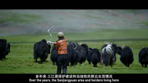 
江苏省中医院黄牛代挂号电话票贩子号贩子网上预约挂号,住院检查加快,三江之源的生态变迁